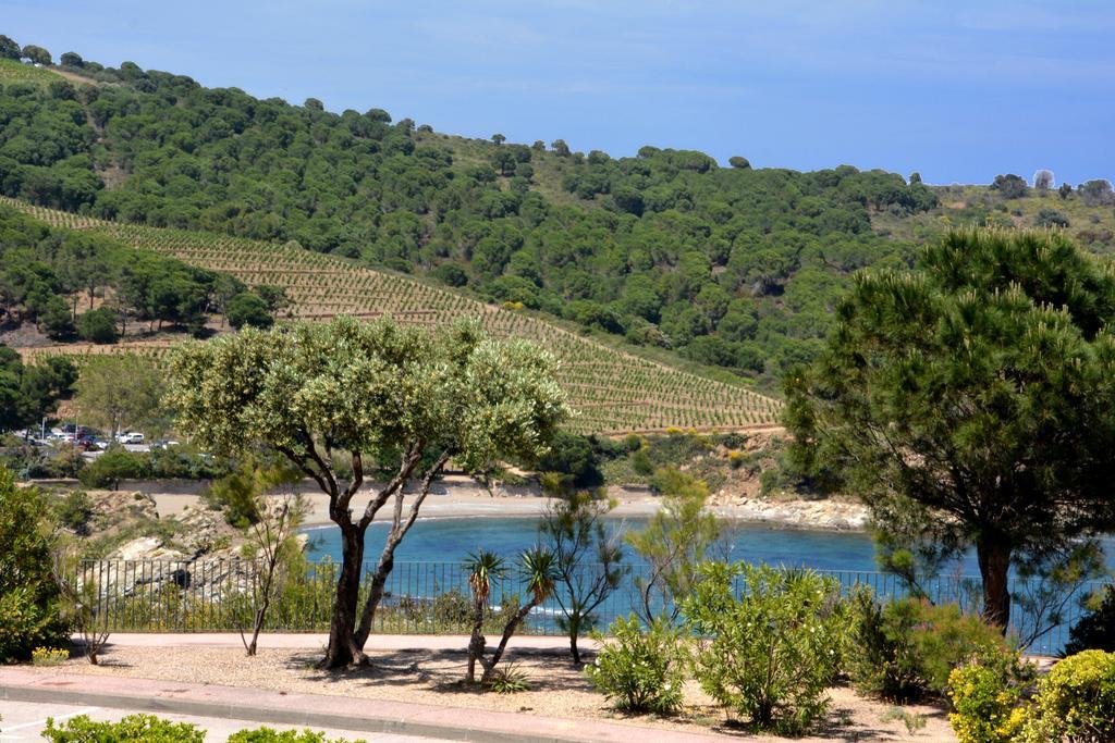 Logis Hotel Solhotel Banyuls-sur-Mer Exterior photo